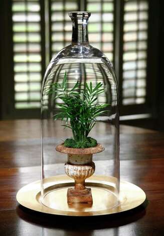 A small parlor palm is in the spotlight beneath this tall cloche. The gold charger prevents terrarium moisture from damaging the wood table. Photo: John Everett / John Everett