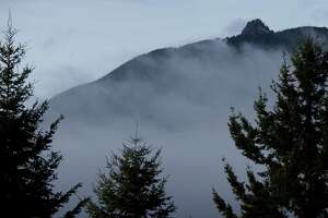 4 hikers found on Mount Si after fleeing from bears - Photo