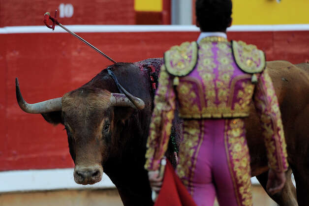 Bullfighter Antonio Ferrera performs with a Alcurrucen's fighting bull during the second day of the San Fermin Running Of The Bulls festival on July 7, 2013 in Pamplona, Spain. The annual Fiesta de San Fermin, made famous by the 1926 novel of US writer Ernest Hemmingway 'The Sun Also Rises', involves the running of the bulls through the historic heart of Pamplona, this year for nine days from July 6-14. Photo: Pablo Blazquez Dominguez, Getty Images / 2013 Getty Images