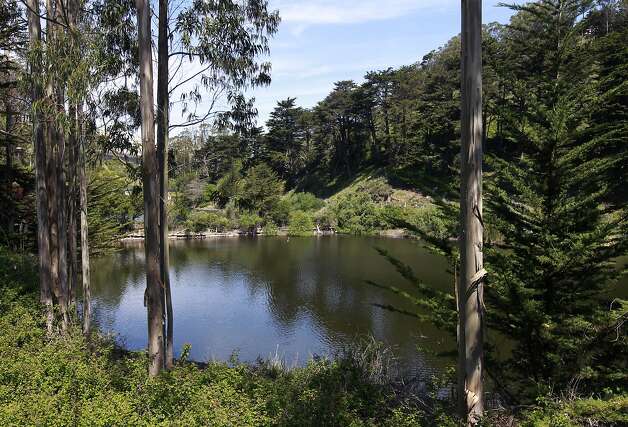 Laguna honda reservoir san francisco #1