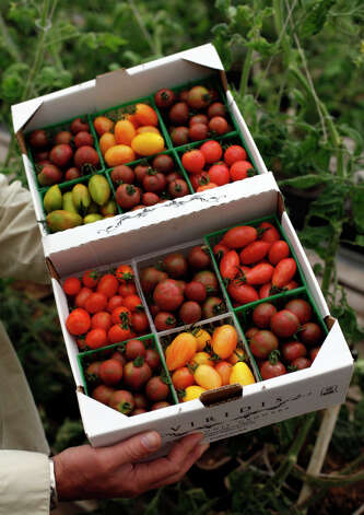 Specialty cherry tomatoes grown at Viridis Aquaponics in Watsonville ...
