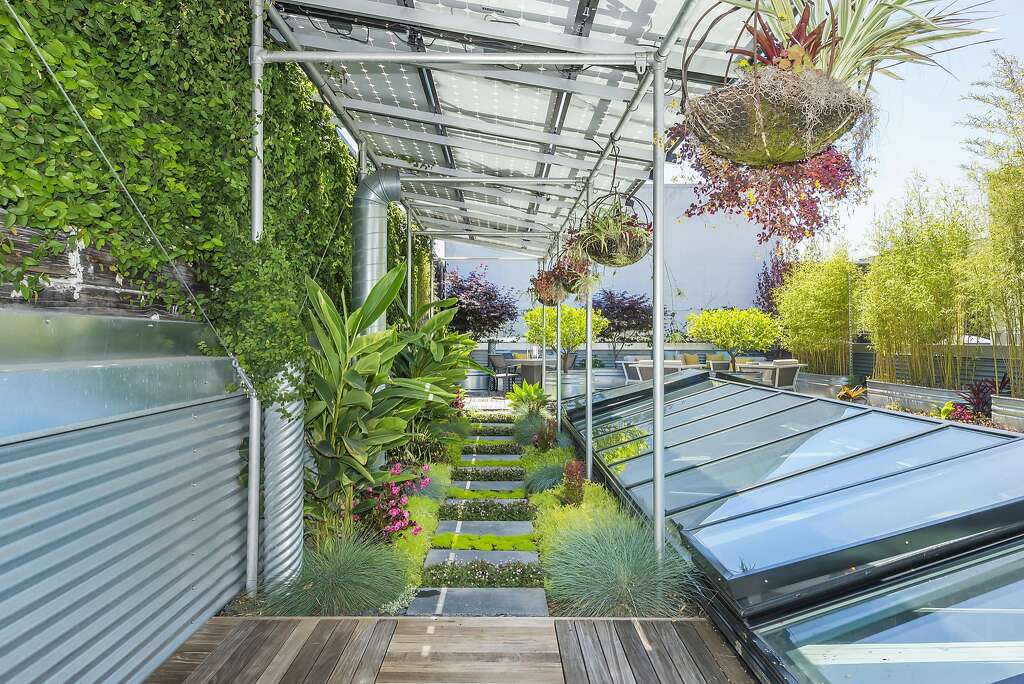 Succulents and drought tolerant grasses sprout from a garden shaded by the home's solar panels. Photo: Olga Soboleva / Vanguard Properties