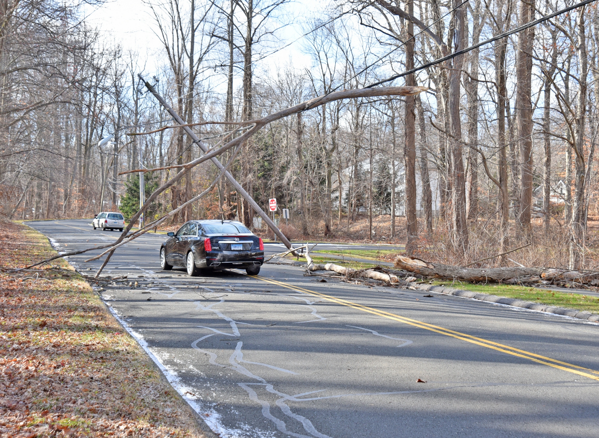 High wind warning: Widespread power outages possible - Westport News