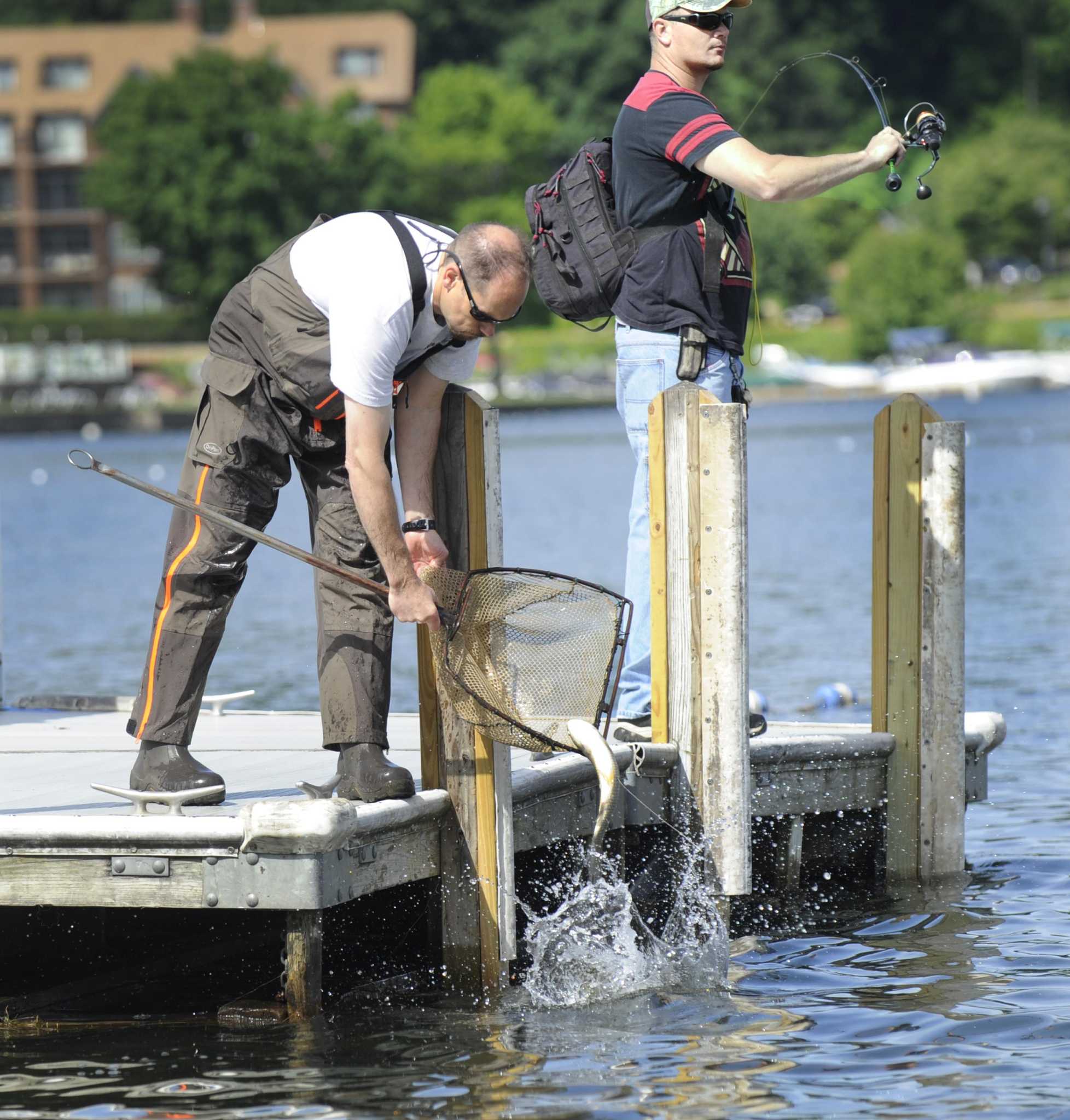 New Fairfield says herbicide better than carp in fighting Candlewood ... - Danbury News Times