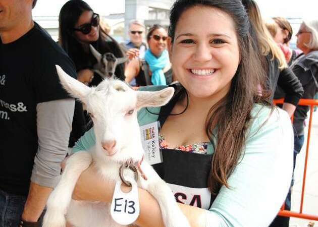 Goatchella returns to the Ferry Plaza in April
