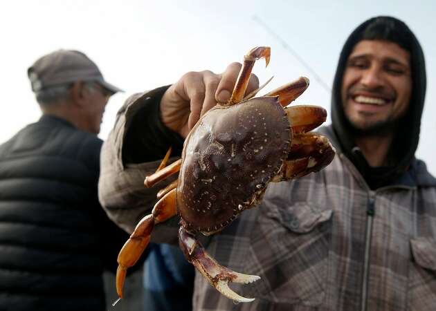 Toxin again an issue as Dungeness crab season nears