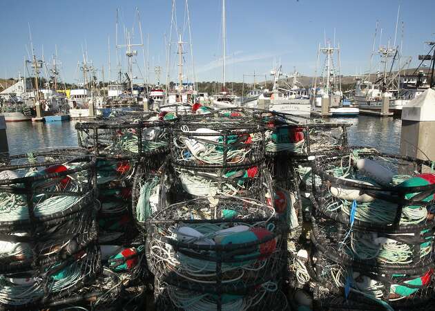 Dungeness crab fishermen go on strike