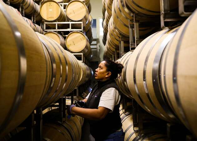 El refugio de Silvia: Finding refuge in winery work