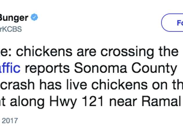 Overturned chicken truck stops traffic on Highway 121 in Sonoma County